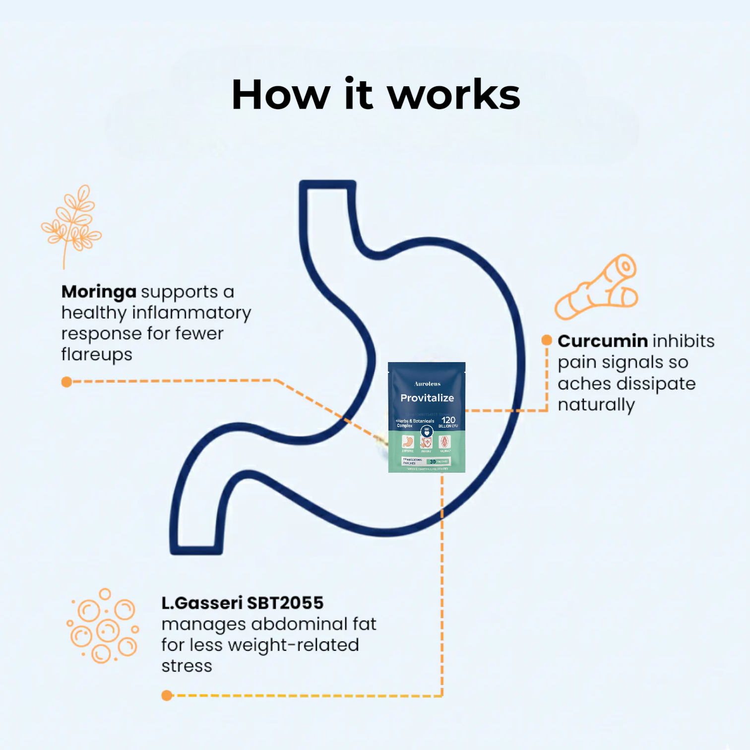 Provitalize | Best Natural Menopause Probiotic [LP]